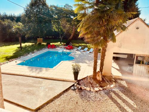un palmier en face d'une piscine dans l'établissement LE HAVANA-Maison d'hotes, à Bergerac