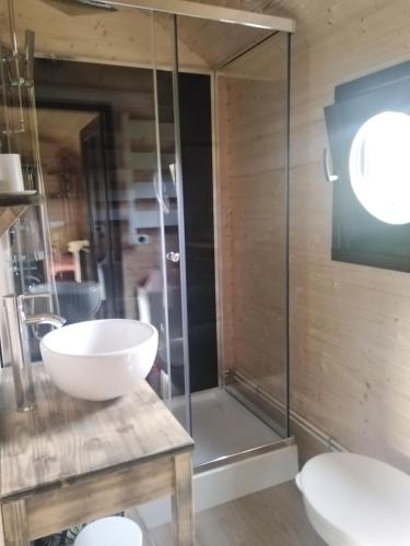 une salle de bain avec une douche en verre et un lavabo dans l'établissement l'échappée belle en Champagne, à Spoy