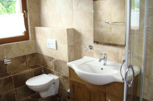 een badkamer met een wastafel en een toilet bij Penzion a restaurace U Maryny in Bocanovice