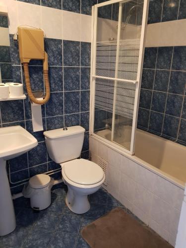 a bathroom with a toilet and a shower and a sink at Hotellerie Normande in Dozulé