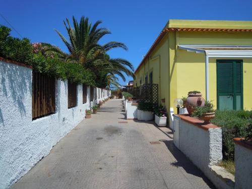 eine Straße mit Häusern und Palmen und einem Bürgersteig in der Unterkunft Albergo Belvedere in Ventotene