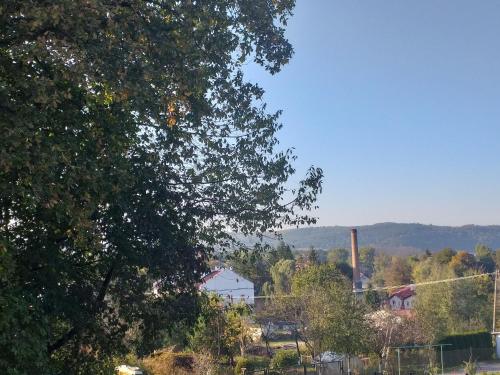 vista su una fattoria con un albero di Krasiczyn nocleg a Krasiczyn