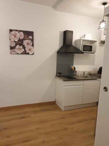 Кухня или мини-кухня в Studio Maillol centre historique Perpignan
