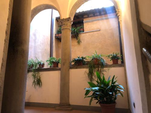 a hallway with potted plants on a wall at Palazzo Cordoni in Città di Castello