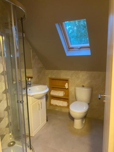 a bathroom with a toilet and a sink and a skylight at Scarr View 1st floor Apartment A98W710 in Wicklow