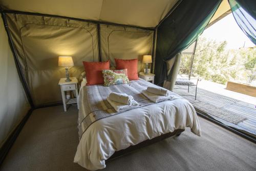 a bedroom with a bed in a tent at Le Petit Karoo Ranch in Oudtshoorn