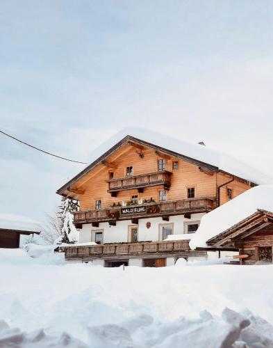 a large wooden building covered in snow at Waldruhe Appartements in Sankt Jakob in Defereggen