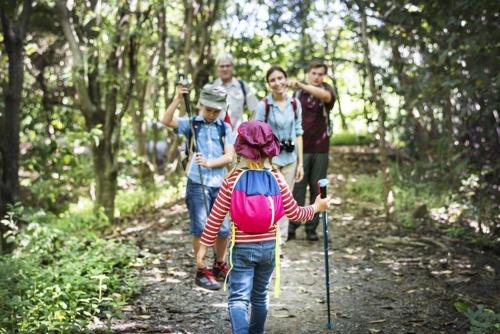 a group of people walking in the woods at Hotel Tharsis in Cazorla
