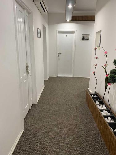 an office hallway with white walls and a plant at Stari Zaječar apartments in Zaječar