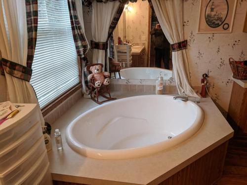 a large tub in a bathroom with a teddy bear sitting on a counter at Thomas Holiday Home in Clearfield