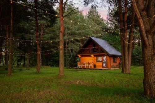 a log cabin in the woods with christmas lights at House of Sparkles in Elektrėnai
