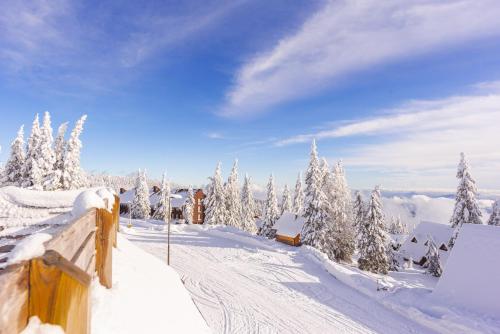 APARTMENTS ROGLA JURGOVO - Ski in Ski out v zimě