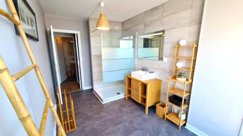 une salle de bain avec un lavabo et un miroir dans l'établissement Appartement Mâcon Centre T4 - 100m2, à Mâcon
