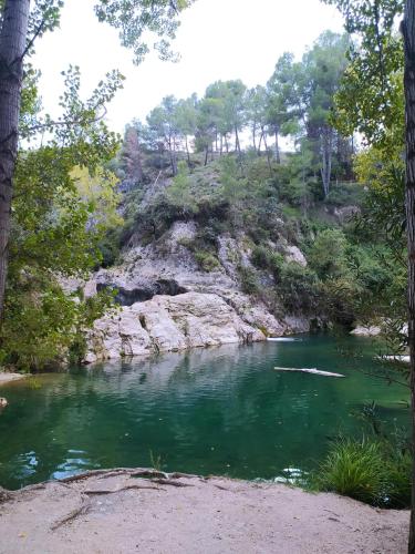 a river with green water and trees on the shore at B&B Casa Josa in Ontinyent