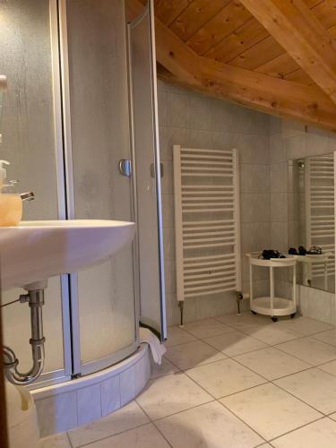 ein Bad mit einer Dusche und einem Waschbecken in der Unterkunft Gasthof Sonnenheim in Saaldorf