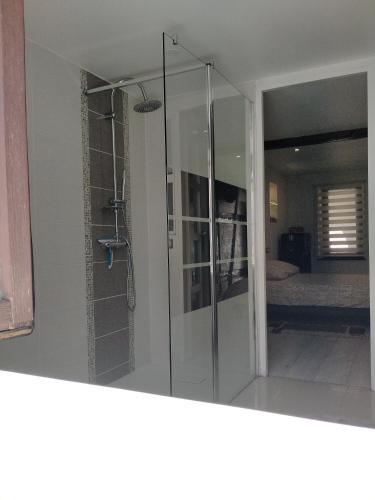 a glass shower in a room with a bedroom at Passage des Romains studio in Horbourg