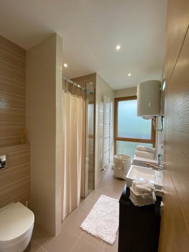 ズラティボールにあるRujna goraのバスルーム(トイレ、洗面台、シャワー付)