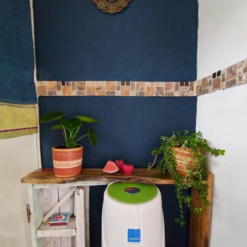 a blue wall with plants and a toilet in a room at Naturaleza en armonia in San Francisco
