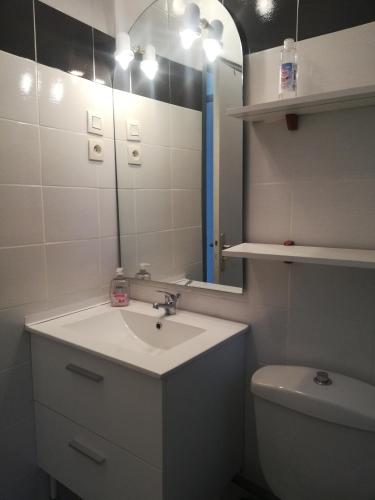 une salle de bain avec un lavabo et un miroir et des toilettes dans l'établissement VILLA DUCHATEL, à Le Mont-Dore