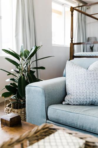 a living room with a blue couch and a plant at Royal Boutique Hotel in Cape Town