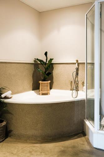 a bathroom with a bathtub with a plant in it at Royal Boutique Hotel in Cape Town