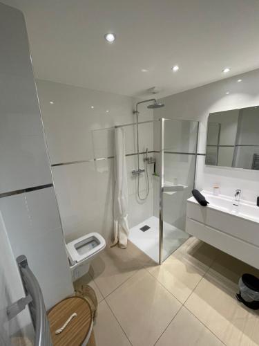 une salle de bain avec une douche, des toilettes et un lavabo dans l'établissement Résidence Standing Domaine d Arca, à Porto-Vecchio