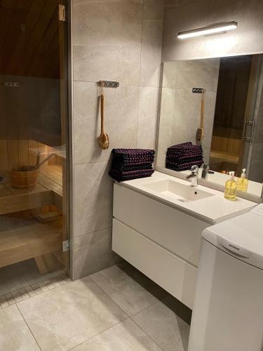 a bathroom with a sink and a mirror at Levi Diamonds in Kittilä