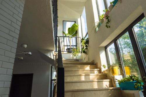a staircase in a house with potted plants at TJ GARDENS in Makhinjauri