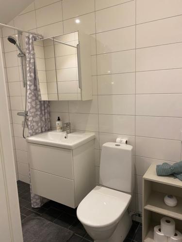 a white bathroom with a toilet and a sink at Sjölanda in Sjuntorp