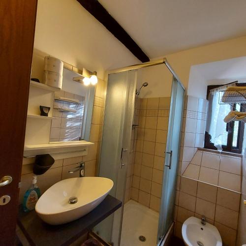 a bathroom with a sink and a shower at Agriturismo Ali E Radici in Cisterna di Latina