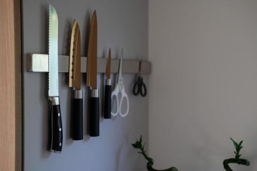 a bunch of knives are hanging on a wall at Racoon - Außergewöhnliches Tinyhauserlebnis beim Reptilienzoo Reptilium in Landau in der Pfalz