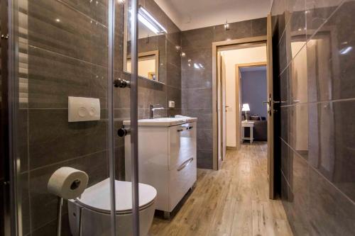 a bathroom with a toilet and a sink and a mirror at One-Bedroom Apartment in Rovinj VII in Štanga