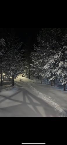 Vikendica Vjeverica en invierno