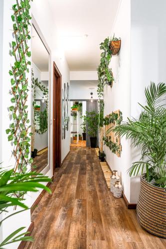 a hallway with potted plants on the walls at Avenue View Rooms in Porto