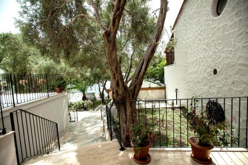 a tree in front of a fence with potted plants at Zena Hotel Bodrum in Guvercinlik