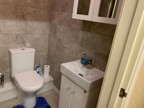 een badkamer met een toilet en een wastafel bij S&Ks in Troed-y-rhiw