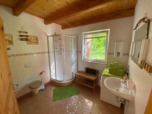 a bathroom with a shower and a sink at Ferienhaus "Am Bergblick" Sebnitz in Sebnitz