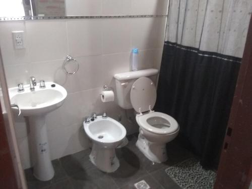 La salle de bains est pourvue de toilettes et d'un lavabo. dans l'établissement La Galensa, à Trevelín