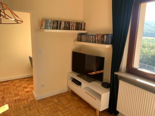 salon z telewizorem z płaskim ekranem na półce w obiekcie Neue Ferienwohnung direkt am Elberadweg w mieście Miśnia