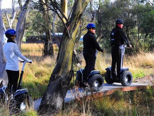 a group of three people riding on segways around a tree at Kickenback Studio - Gym l Indoor Pool l Tennis l Air-Con l WiFi l BBQ in Crackenback