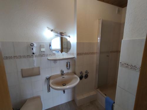 a bathroom with a sink and a mirror and a shower at Haus Savina in Weimar