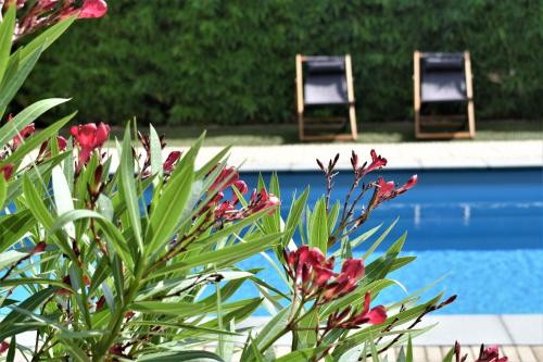 two chairs and flowers next to a swimming pool at De Oude Limonadefabriek in Beek