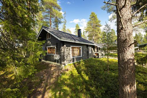 a log cabin in the woods with trees at Rukan Salonkilomat in Ruka