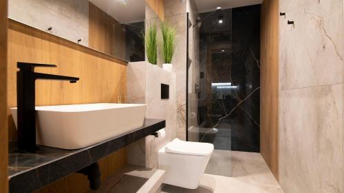 a bathroom with a sink and a toilet and a shower at Kalinowa z sauną, Sun & Snow in Szczyrk