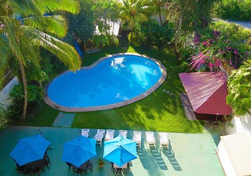 an overhead view of a swimming pool with chairs and umbrellas at Chanchamayo Inn Hotel in La Merced