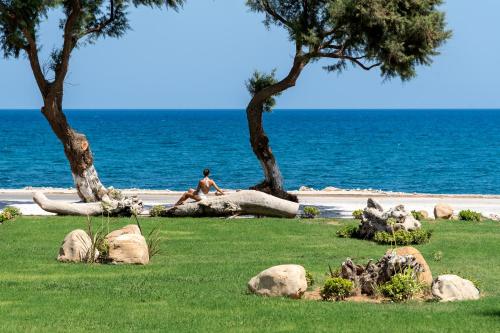a man sitting on a tree branch on the beach at Artemis Villa, Beachfront Retreat with Heated Pool, By ThinkVilla in Tavronitis