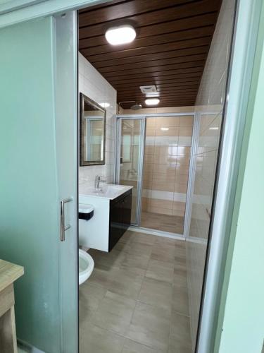 een badkamer met een douche, een wastafel en een toilet bij Xingda Port Homestay 