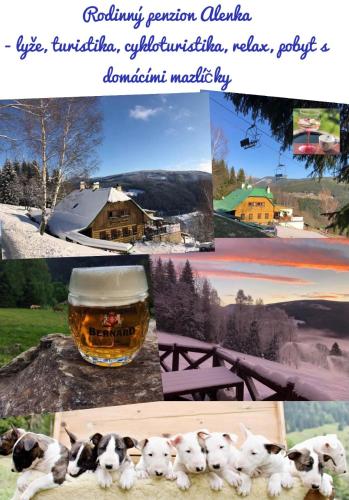Penzion Alenka