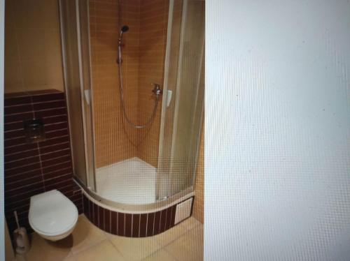 łazienka z prysznicem i toaletą w obiekcie Nice room 2km to old town -150m from Metro Szwedzka w Warszawie