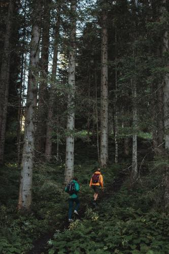 two people walking on a trail in the woods at Hotel Tauernhof in Grossarl